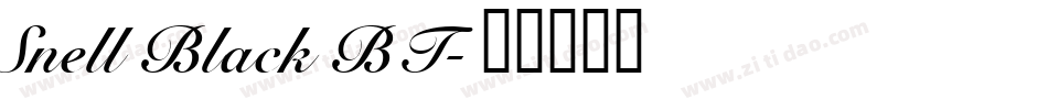 Snell Black BT字体转换